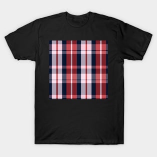 Summer Aesthetic Aillith 2 Hand Drawn Textured Plaid Pattern T-Shirt